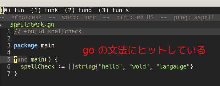 goのコードに対するispell